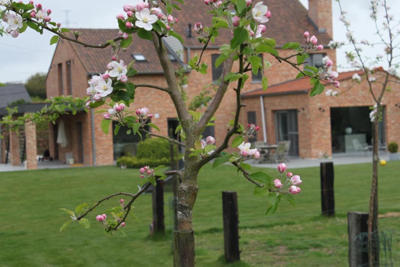 B&B 'T Hoogste Bornem Bagian luar foto